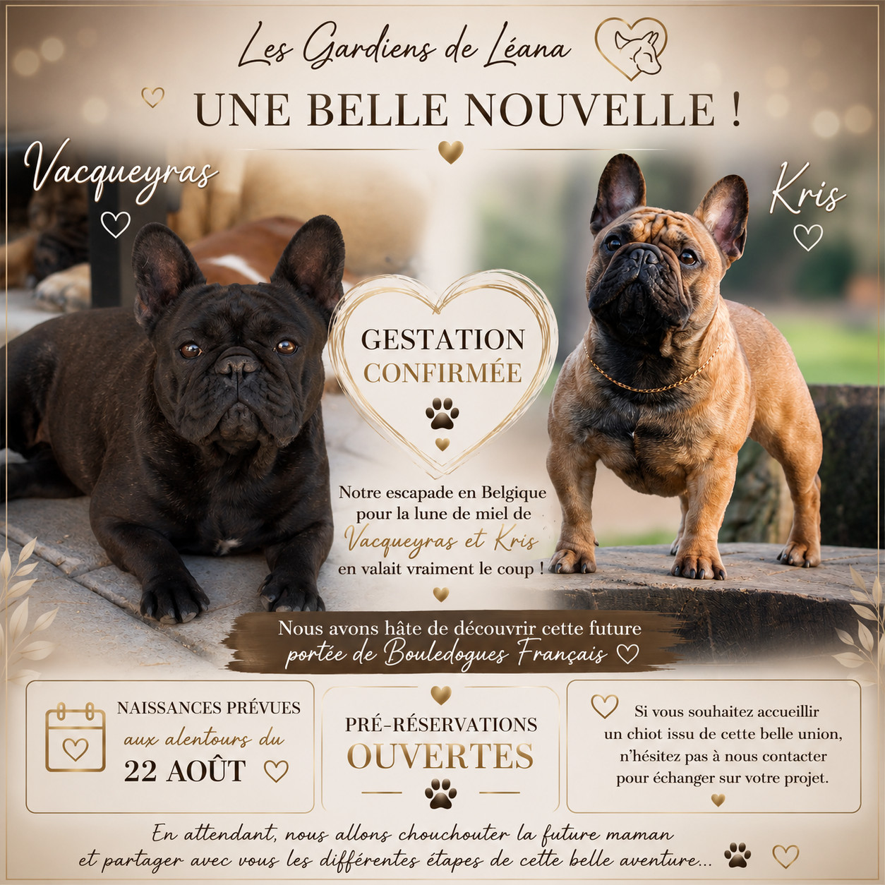 Les bébés de Vacqueyras et Kris sont attendus vers le 22 Août 2026
